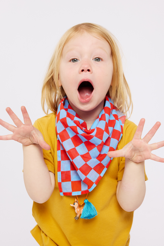 Organic Cotton Bandana - Red & Blue Checkers